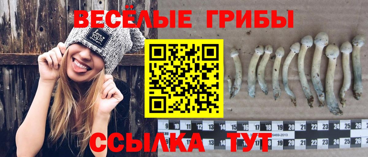 Галлюциногенные грибы прущие грибы Кохма