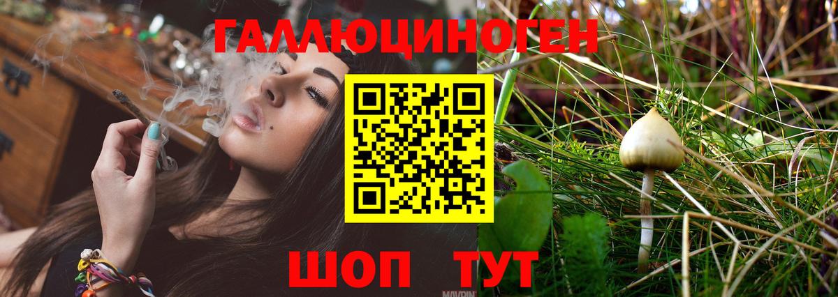 Галлюциногенные грибы GOLDEN TEACHER  Вход с VPN  Кохма 