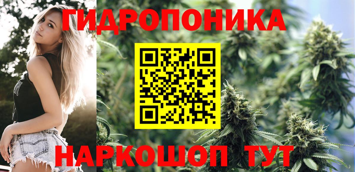 Кохма  Каннабис AK-47  Вход с VPN  Бошки марихуана LSD WEED 